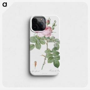 1-67_Pierre-Joseph-Redoute_phone