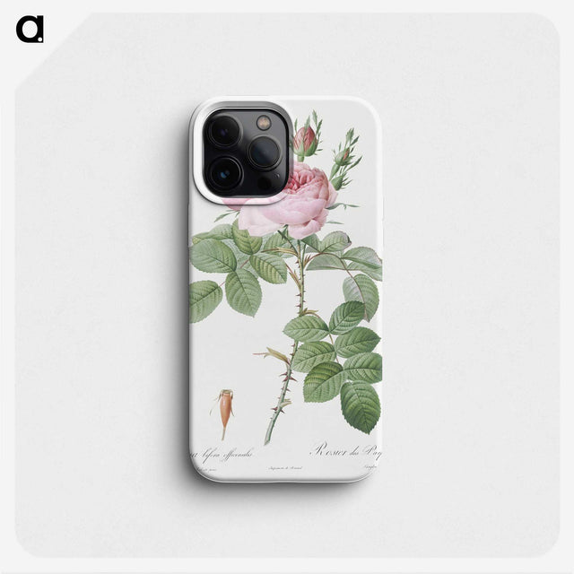 1-67_Pierre-Joseph-Redoute_phone