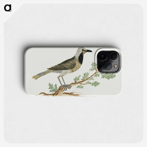 1-67_Robert-Jacob-Gordon_phone