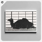 Dromedary
 - サミュエル ジェスルン Canvas.