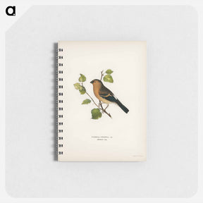 アートメモ帳-Eurasian Bullfinch
 - スヴェンスカ フォグラル Memo.
