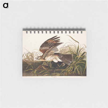 アートメモ帳-Winter Hawk from Birds of America
 - アメリカの鳥たち Memo.