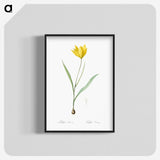 1-67_The-Lilies_blk-crop