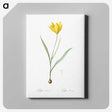 1-67_The-Lilies_canvas