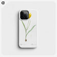 1-67_The-Lilies_phone