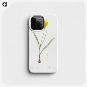 1-67_The-Lilies_phone