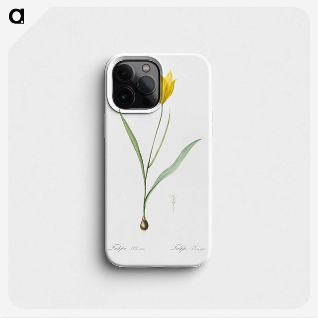 1-67_The-Lilies_phone