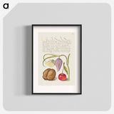 アートポスター-Butterfly, Snakeshead, English Walnut, and Sweet Cherry
 - 書道のお手本 Poster.