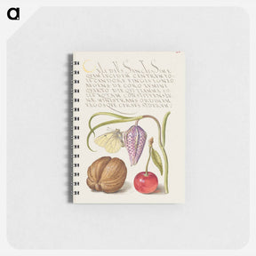 アートメモ帳-Butterfly, Snakeshead, English Walnut, and Sweet Cherry
 - 書道のお手本 Memo.