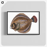 1-67_The-Natural-History-of-British-Fishes_blk-crop