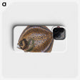 1-67_The-Natural-History-of-British-Fishes_phone