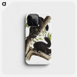 1-67_The-Viviparous-Quadrupeds_phone