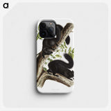 1-67_The-Viviparous-Quadrupeds_phone