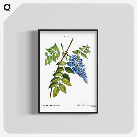 1-67_Treatise-on-Trees-and-Shrubs_blk-crop