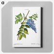 1-67_Treatise-on-Trees-and-Shrubs_canvas
