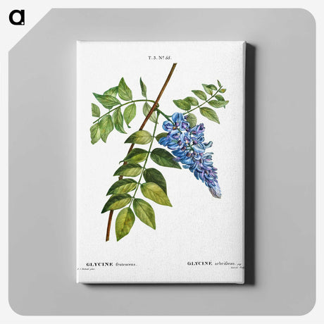 1-67_Treatise-on-Trees-and-Shrubs_canvas