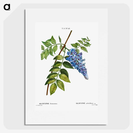 1-67_Treatise-on-Trees-and-Shrubs_picture