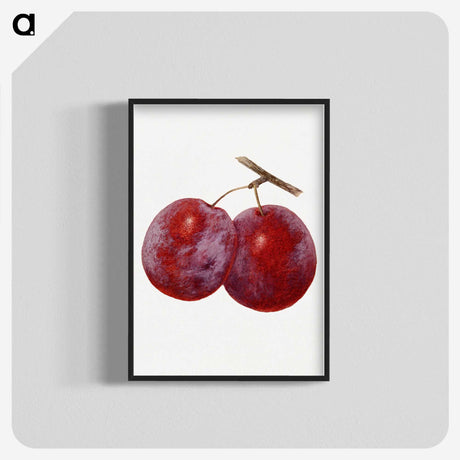 1-67_USDA-Watercolor-Fruit-Painting-Collection_blk-crop