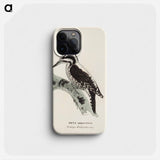 Three-toed woodpecker, female, Wilhelm von Wright - ヴィルヘルム フォン ライト Phone Case.