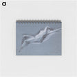 アートメモ帳-Reclining Nude
 - イェール大学アートギャラリー Memo.