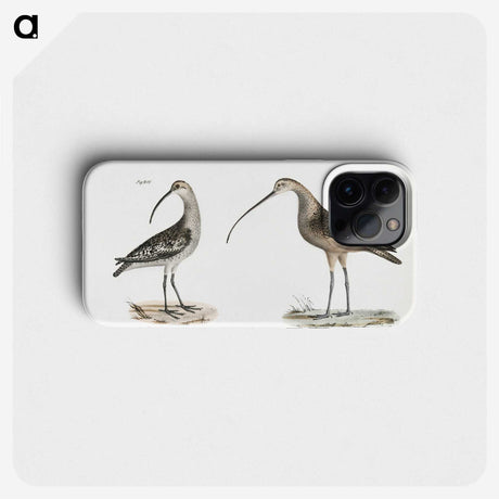 1-67_Zoology-of-New-York_phone