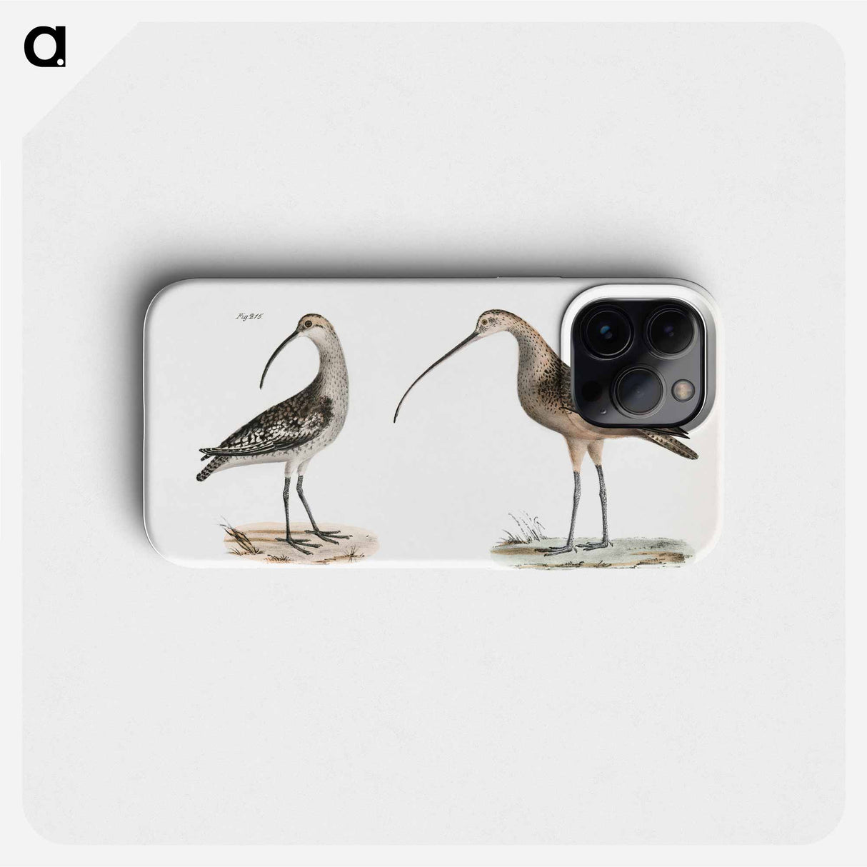 Jack Curlew (Numenius hudsonius) Long-billed Curlew (Numenius longirostris) illustration from Zoology of New York by - ニューヨークの動物学 Phone Case.