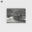 1-68_Alfred-Stieglitz_memo