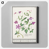 1-68_Anselmus-Boetius-de-Boodt_canvas