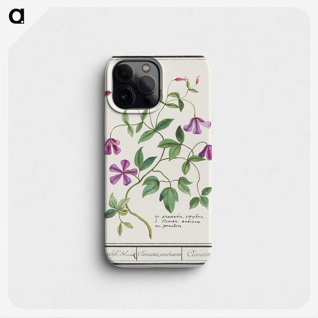1-68_Anselmus-Boetius-de-Boodt_phone
