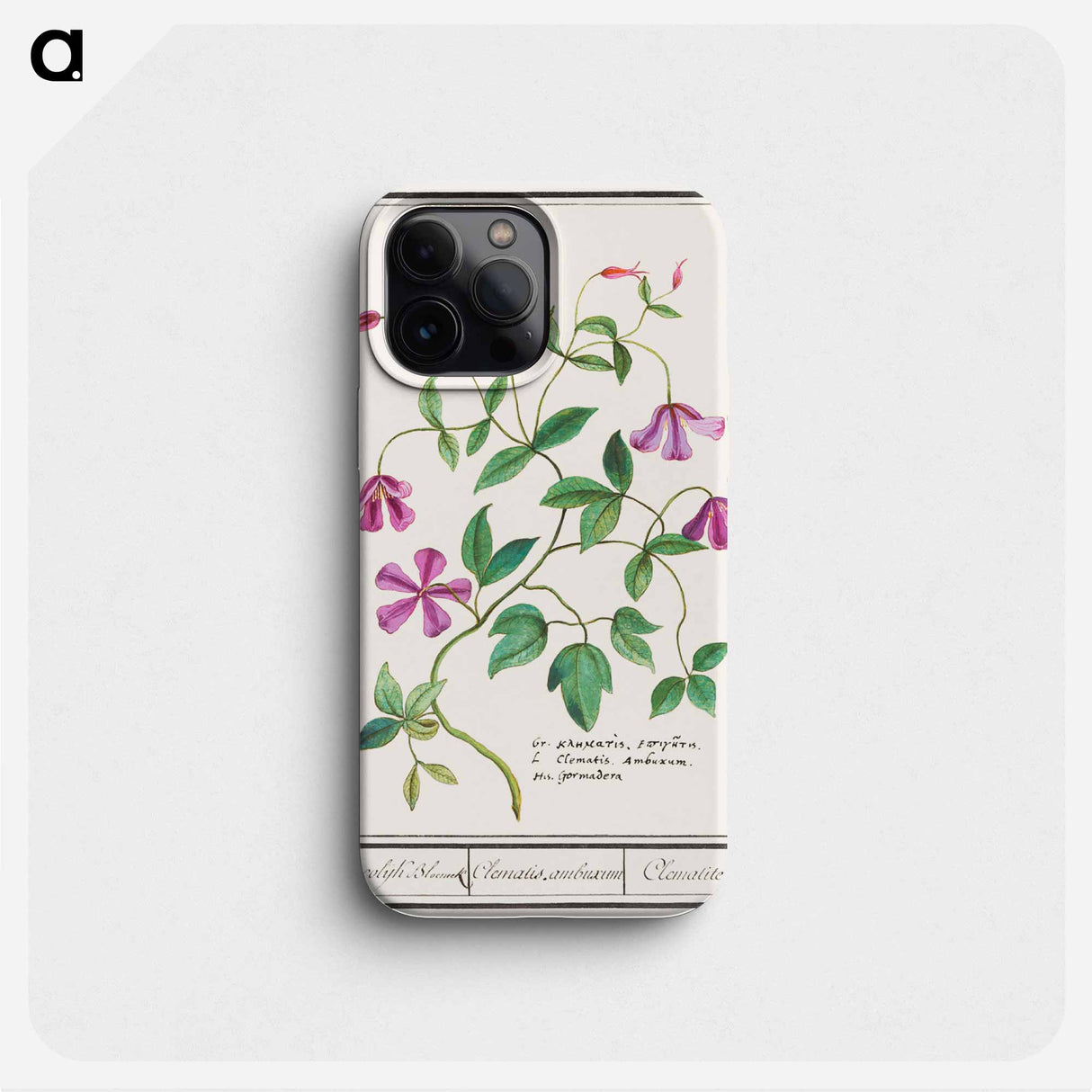 Clematis - アンセルムス ボエティウス デ ブート Phone Case.