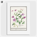 1-68_Anselmus-Boetius-de-Boodt_picture