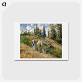 アートポストカード-The Harvest, Pontoise - カミーユ ピサロ Postcard.