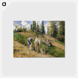 アートポストカード-The Harvest, Pontoise - カミーユ ピサロ Postcard.