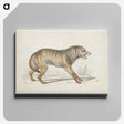 1-68_Charles-Hamilton-Smith_canvas
