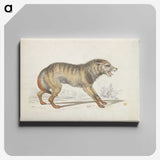 1-68_Charles-Hamilton-Smith_canvas
