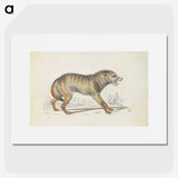 1-68_Charles-Hamilton-Smith_picture