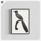 1-68_Des-Oiseaux-de-Paradis_blk-crop
