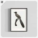 1-68_Des-Oiseaux-de-Paradis_blk