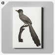 1-68_Des-Oiseaux-de-Paradis_canvas