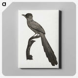 1-68_Des-Oiseaux-de-Paradis_canvas
