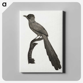 1-68_Des-Oiseaux-de-Paradis_canvas