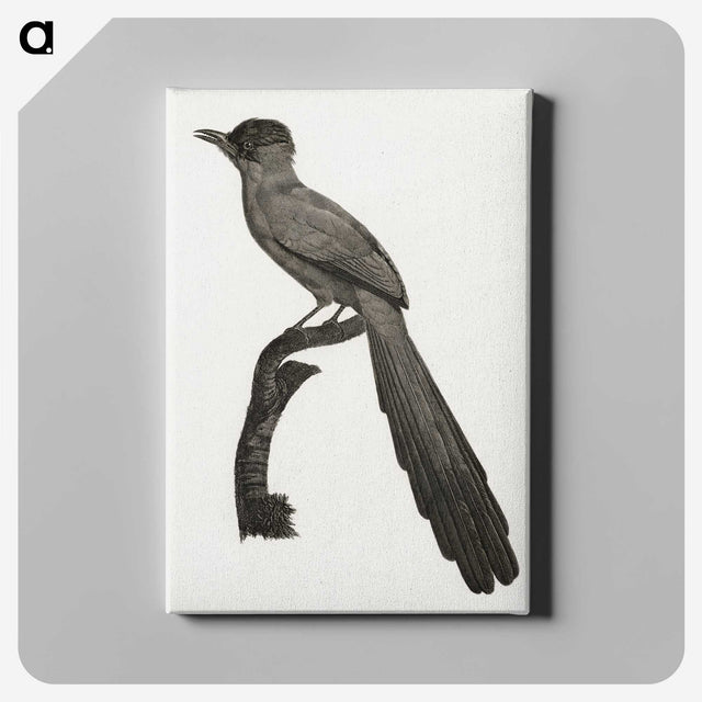 1-68_Des-Oiseaux-de-Paradis_canvas