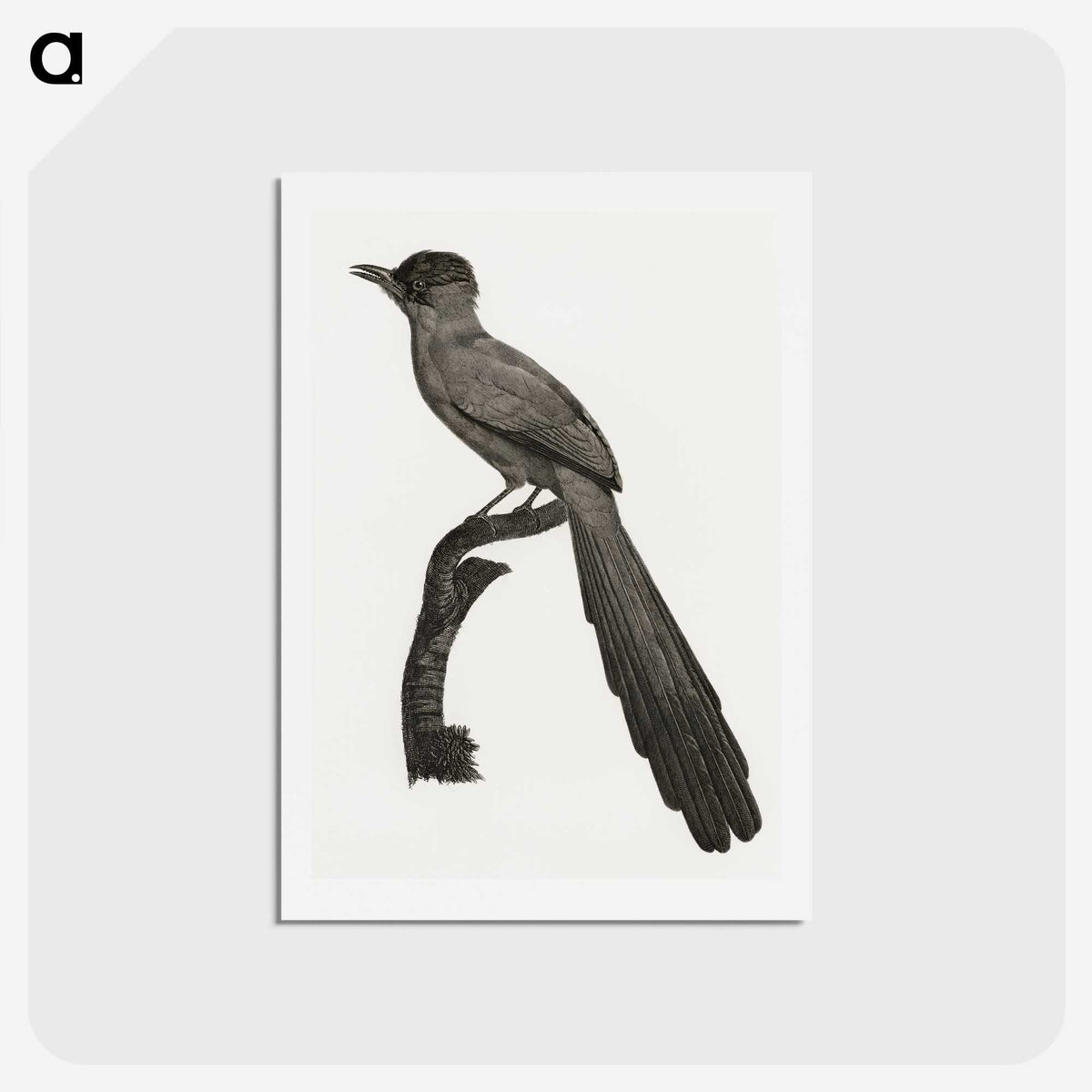 1-68_Des-Oiseaux-de-Paradis_hagaki
