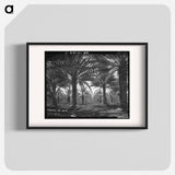 Date palms. Coachella Valley, California - Dorothea Lange Poster.