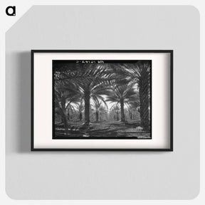 アートポスター-Date palms. Coachella Valley, California - ドロテア ラング Poster.