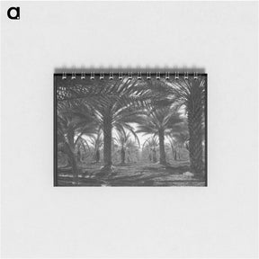 アートメモ帳-Date palms. Coachella Valley, California - ドロテア ラング Memo.