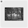 1-68_Dorothea-Lange_postcard