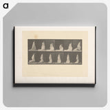 1-68_Eadweard-Muybridge_canvas