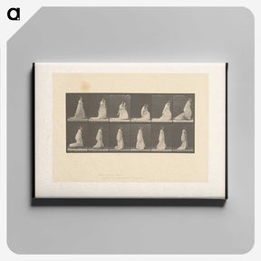 1-68_Eadweard-Muybridge_canvas