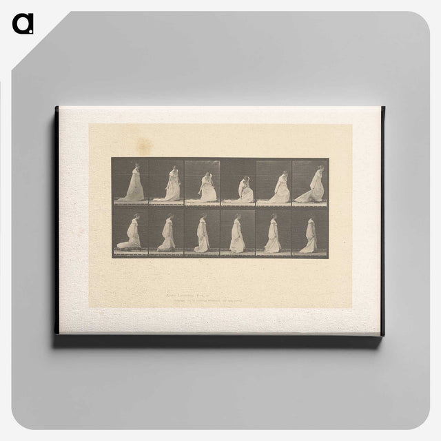 1-68_Eadweard-Muybridge_canvas